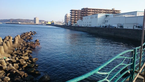 横須賀の海辺つり公園へ釣り納め。ロックフィッシュ狙い！写真1