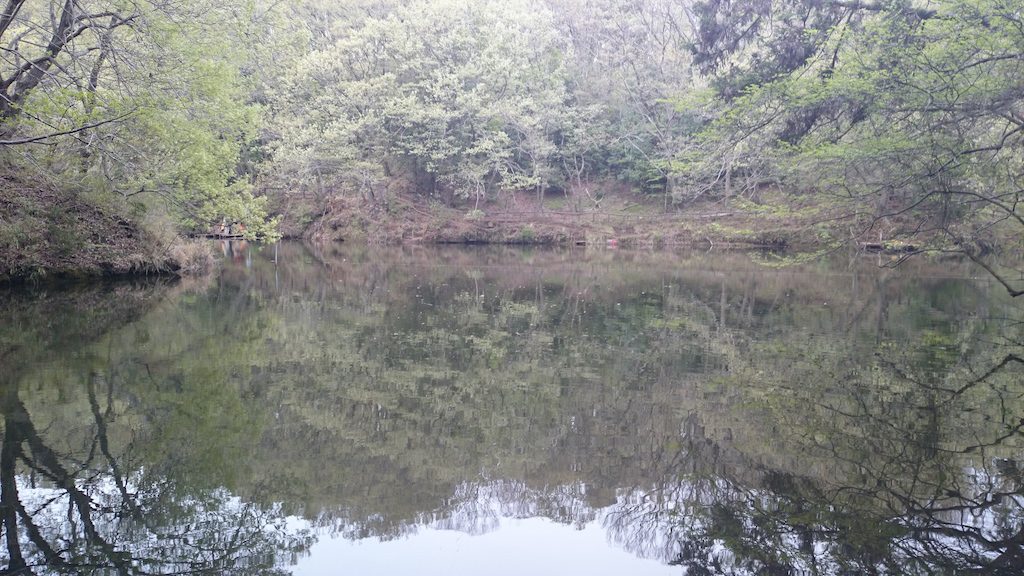 震生湖にバスと自然を求めて！森林に囲まれて癒される釣り場です♪_4
