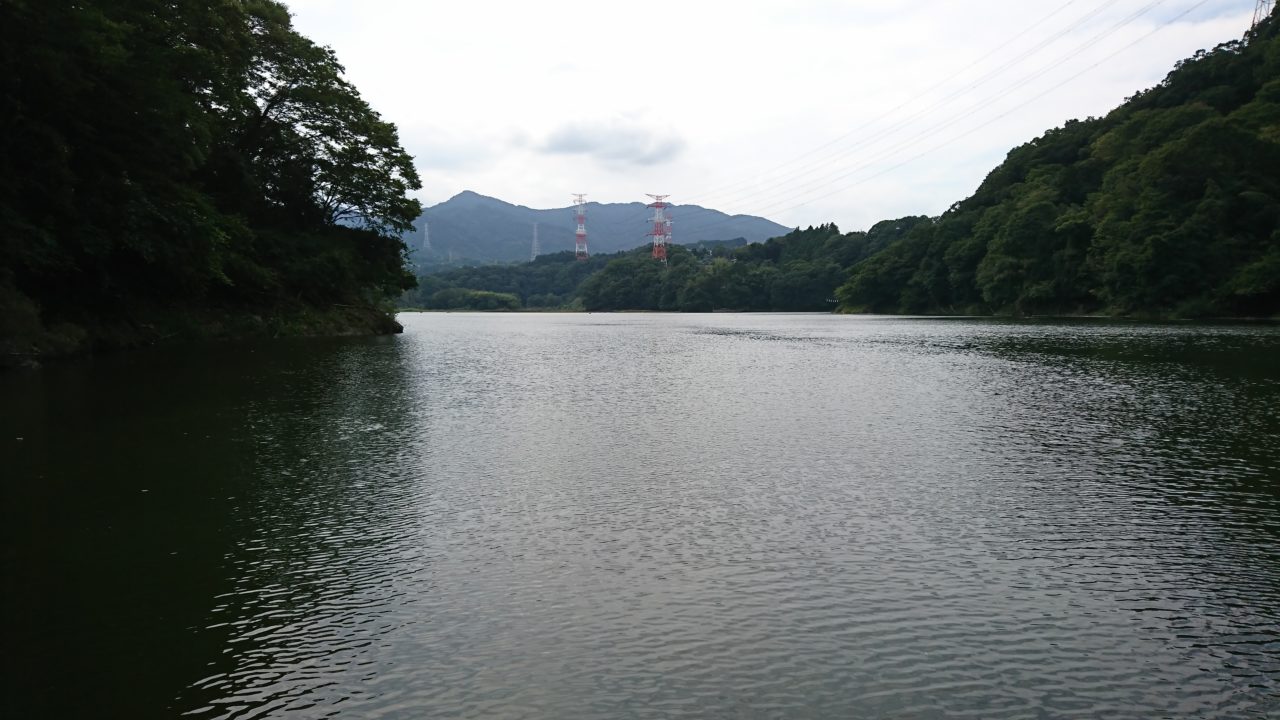 【相模湖と津久井湖】秋のバスフィッシングをボートで満喫🎶